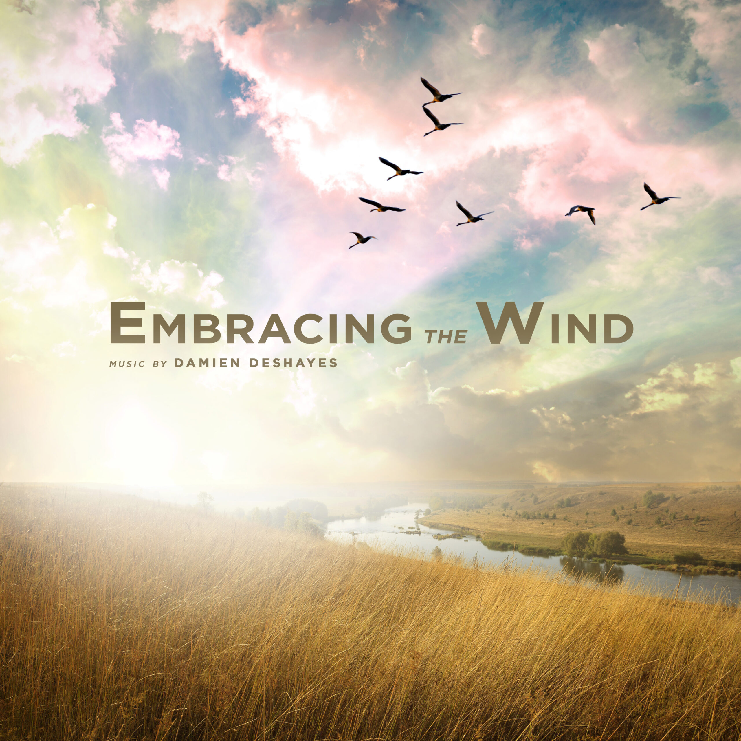 Embracing the Wind (2016)